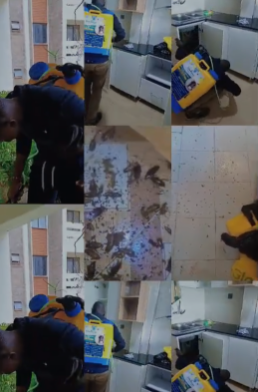 Fumigation